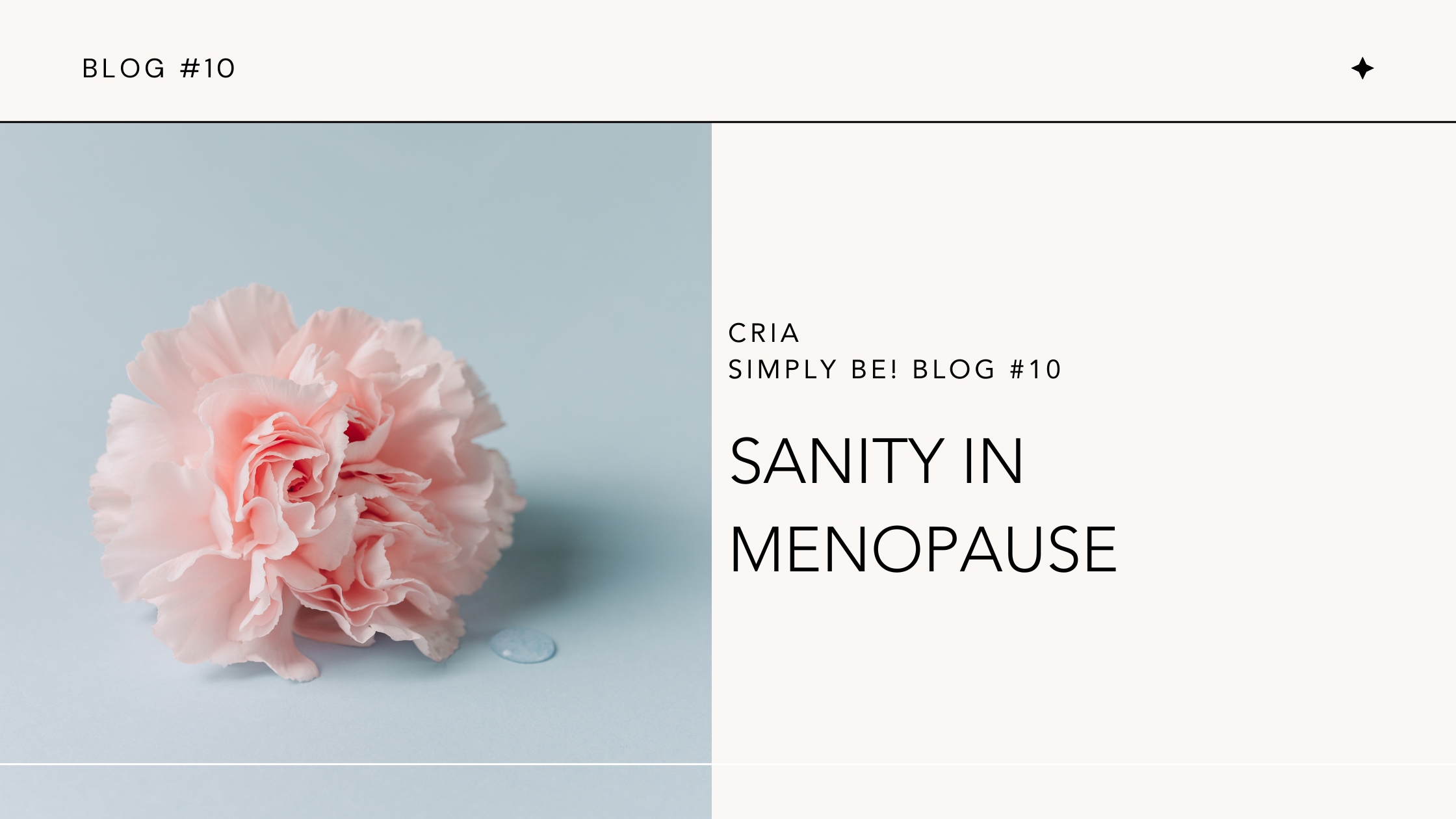 Navigating Menopause's Madness